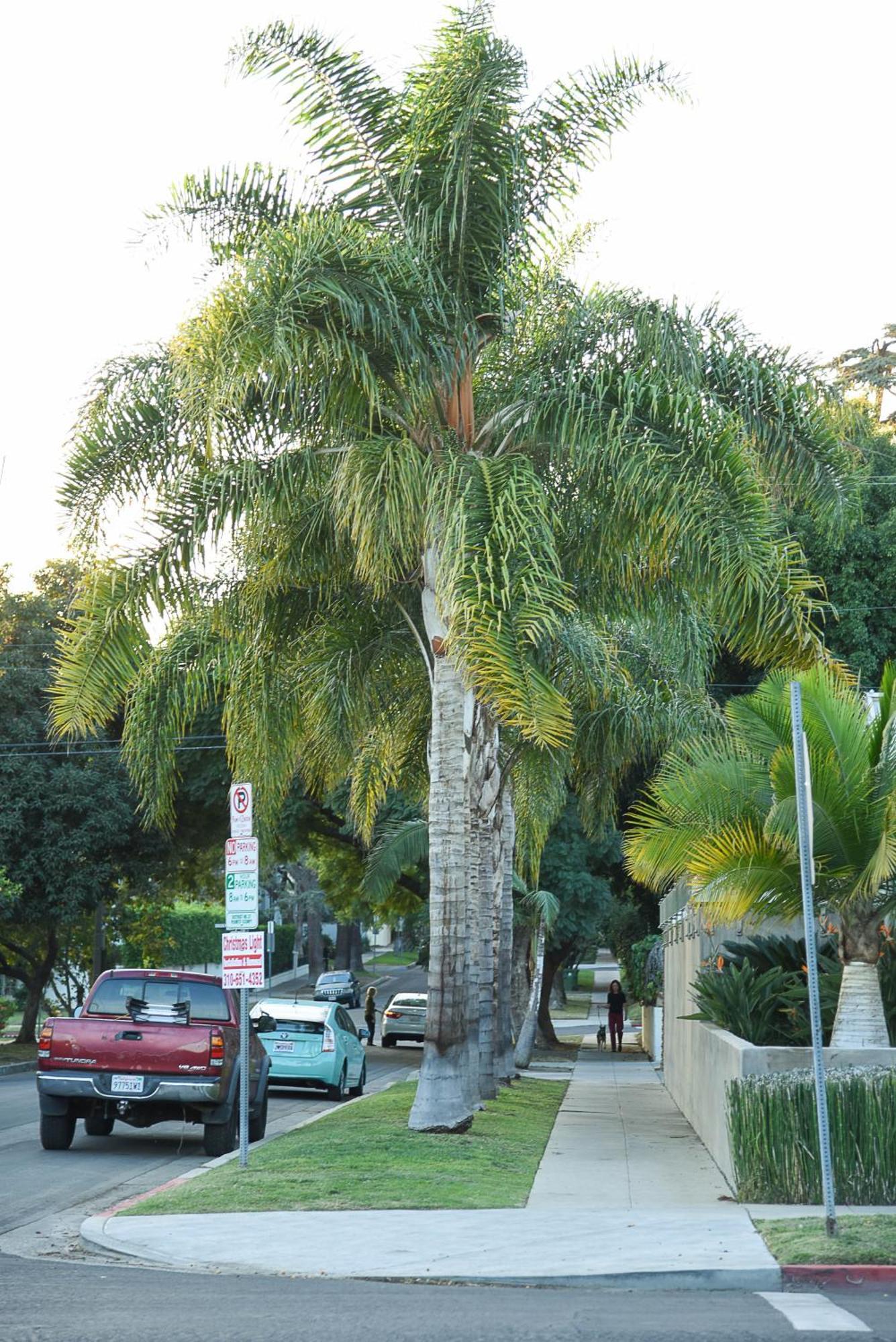 Hollywood Affittacamere Los Angeles